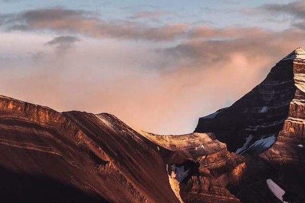 印度仿制药巨头！Lupin 2023年财报发布，美国市场大幅缩水！