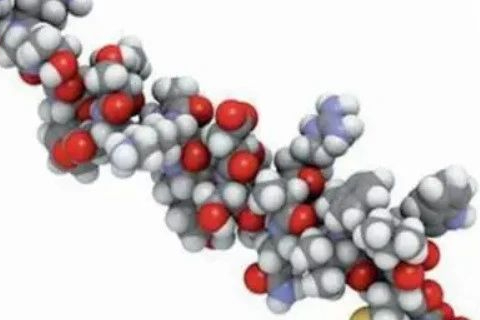 合成多肽药物杂质分类及产生机制