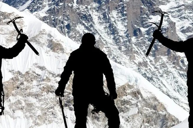 细胞疗法龙头！kite迎来新任执行副总裁，曾是罗氏高管！