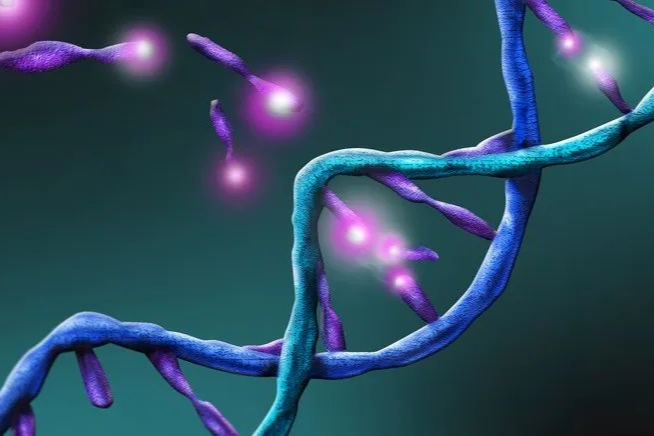 48万美元/年！首款可“重复使用”的外用基因疗法获FDA批准上市