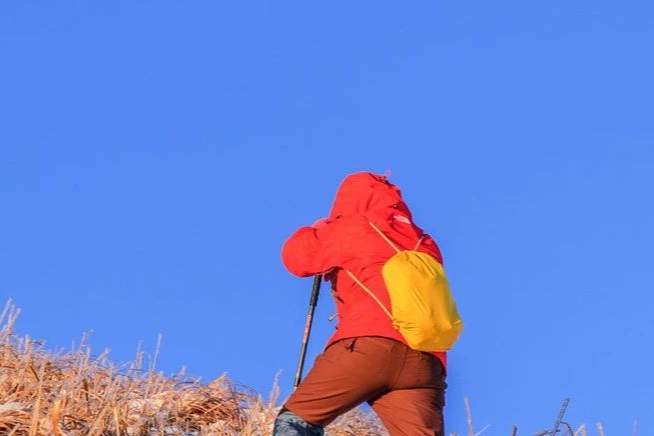 千位药企掌门聚苏州！第四届中国API Summit开始报名！