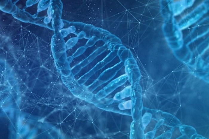 订单减少，CGT CDMO龙头业绩亏损！