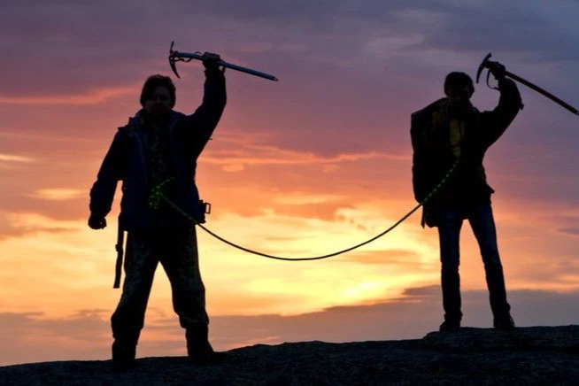 收入下降19%！CDMO巨头Catalent，重点押注CGT领域！