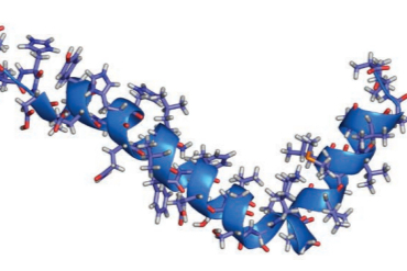 多肽药物有关物质方法开发