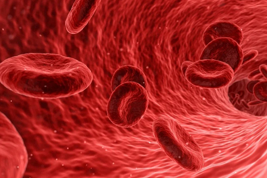 泽布替尼之后，百济神州血液肿瘤管线还有哪些储备