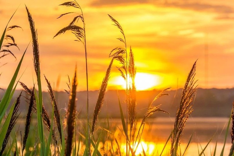 药明康德2023H1：细胞及基因疗法CTDMO营收7.1亿，增长16%