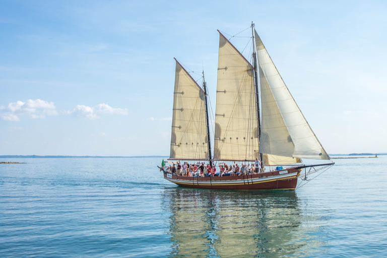 创新高！治疗胶质瘤、恶性肿瘤、抑郁症...73款1类化药获批临床！