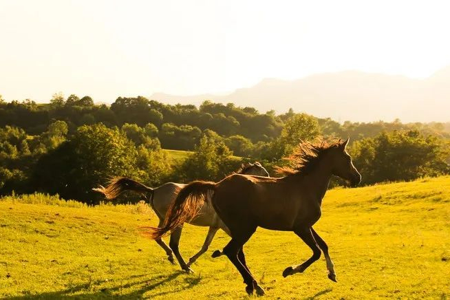 FDA解除搁置！这一CAR-T疗法II期试验继续！