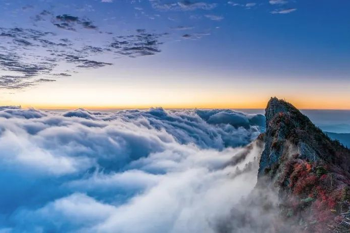 【更新】中国药品审评、全球临床试验、原料药……多库新功能上线