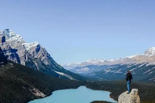 礼来：替尔泊肽减肥适应症国内提交申报