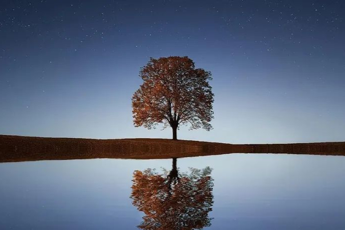 5000万美元引进，先声药业抗失眠药启动临床，国内无同类药物上市