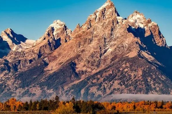 20亿「沙库巴曲缬沙坦钠」首仿决出！石药欧意、南京方生和同日获批