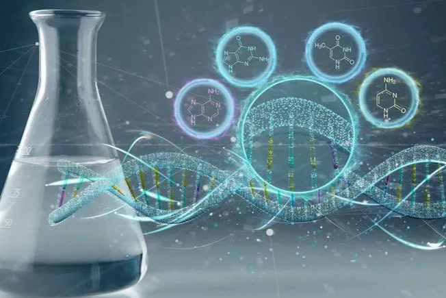 恒瑞：1类新药「艾玛昔替尼」新适应症申报上市