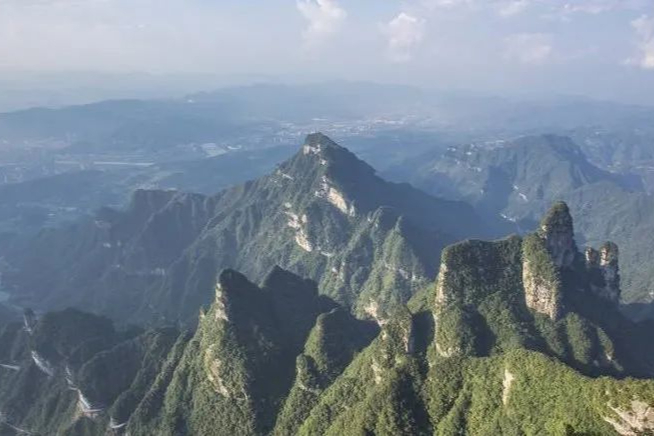 康方生物2023H1：盈利24.9 亿元，卡度尼利单抗销售 6.1 亿元