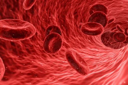 瑞博生物：首次公布3款在研小核酸药物的研究数据