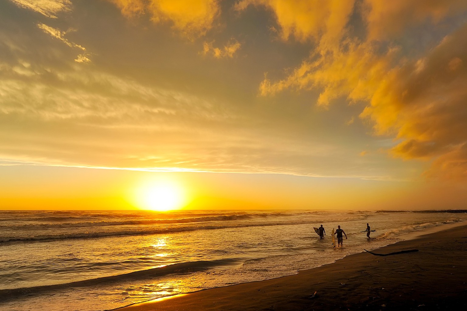 阿斯利康合作伙伴，H1营收大增118%