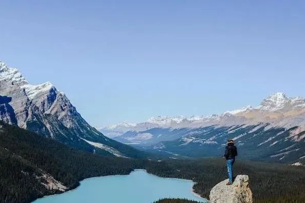 行业高度内卷之下，仿制药企的几大出路