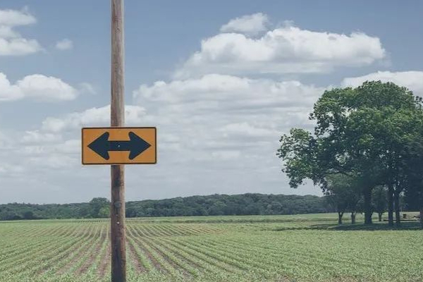 近30款1类新药获批临床！辰欣药业、复宏汉霖、武汉人福……