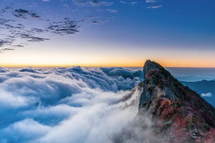 癌症治疗新突破！全球首款肝癌TIL疗法，挺进临床开发！