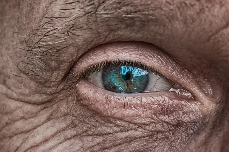 最新！眼科新药2期临床失败，申请破产