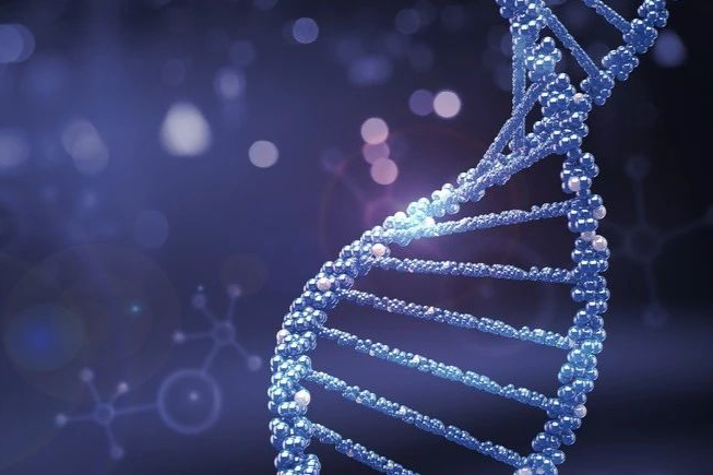 飙升的潜力！药企争相布局，全球CD19抗体市场2028年预超100亿美元！