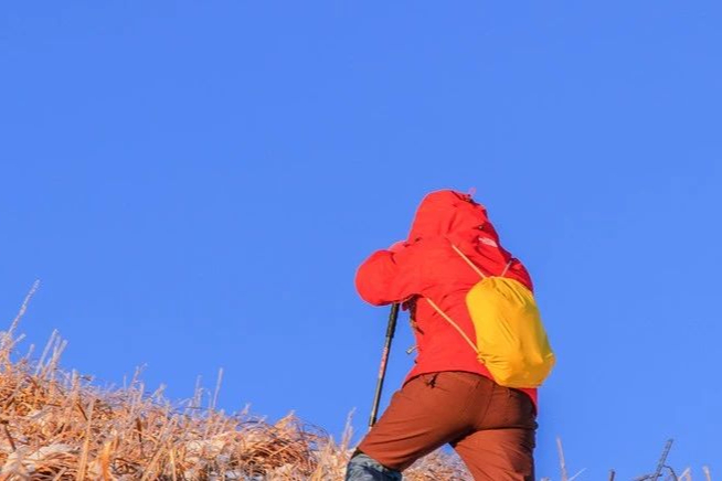 减肥药巨头股价大跌5%！停用Zepbound后患者体重大幅反弹，或长期服用？