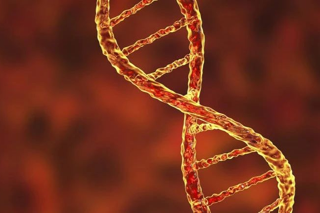 杨森前主席加盟，欧洲最值钱创新药企Galapagos蜕变中