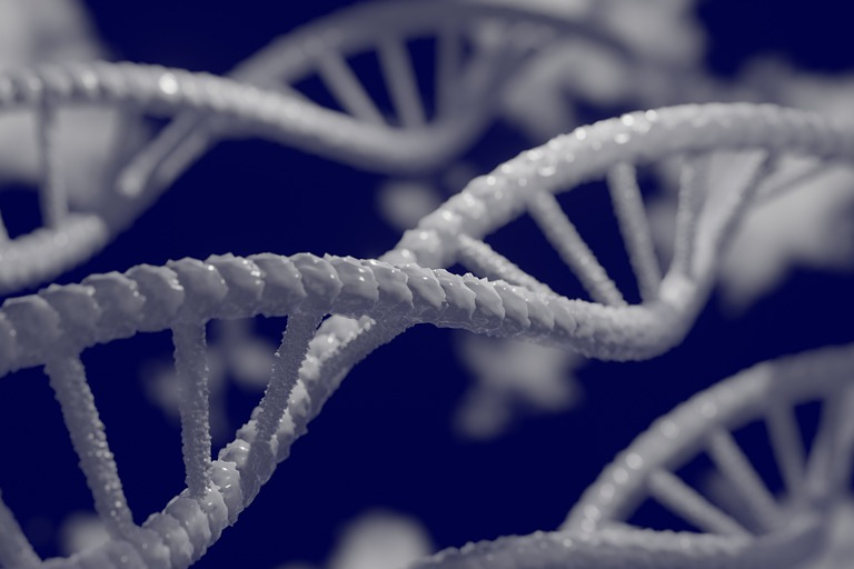 再生元进击千亿美金俱乐部，减重领域或将续写传奇