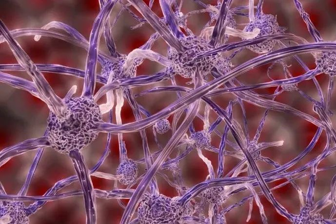 新型CAR-T细胞疗法生产工艺！3天内，可生产抗CD19 CAR-T 细胞