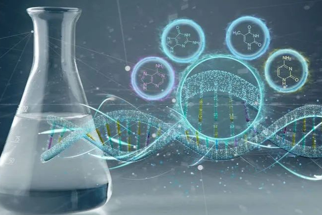 述说一个关于前药策略改变化合物溶解性的故事