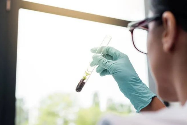 从巨头剥离20载，Supernus掀起CNS狂潮：提交新药申请，用于治疗PD