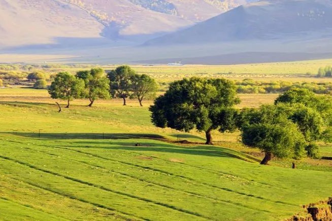 复合年增长率 29.8%！CAR-T市场大有可为
