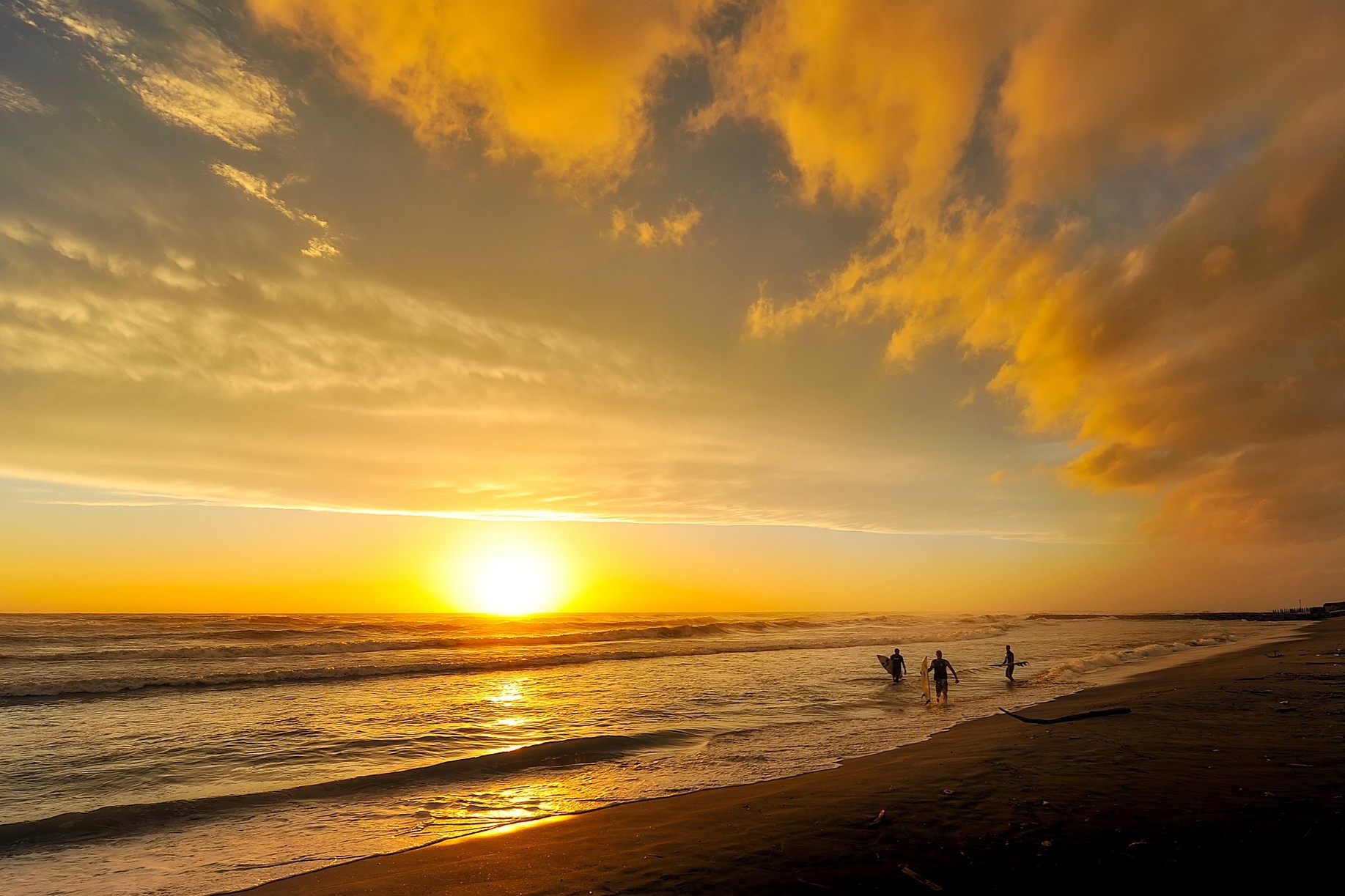 健民集团手握20+个独家品种，净利润大涨28%！3款1类中药创新药上市可期