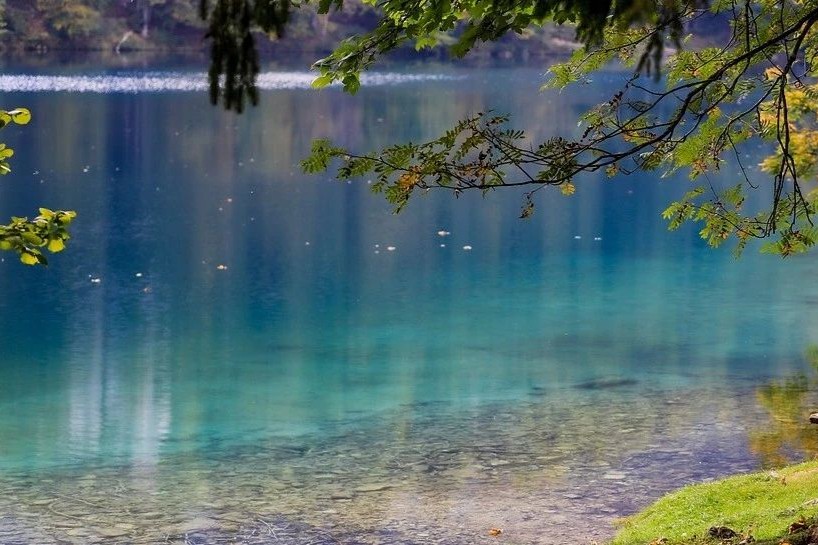 2024年3月全球在研新药与靶点报告：恒瑞ADC出海加速；国产首款 MEK 抑制剂获批！