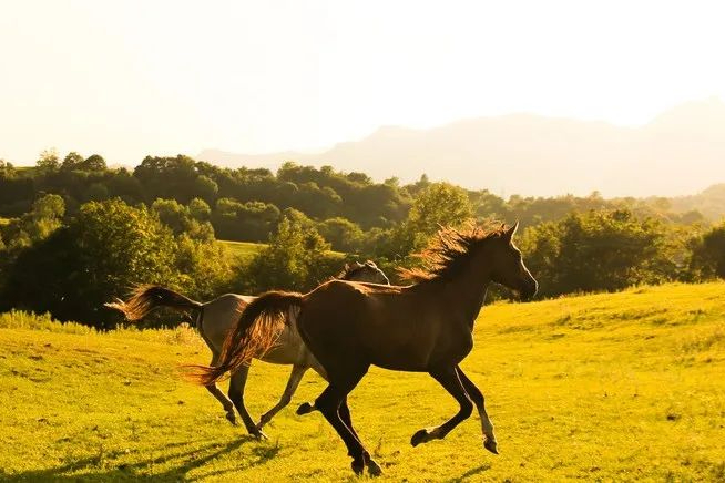 2023年三生制药年报：营收78.16亿元，比去年同期增长13.8%