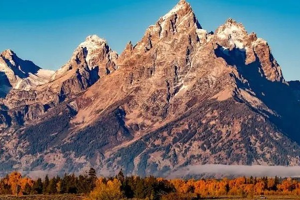 2024年第17周04.15-04.21国内仿制药/生物类似物申报/审批数据分析