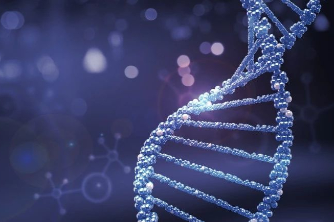 Prime Medicine公司的先导编辑疗法：PM359获FDA批准临床