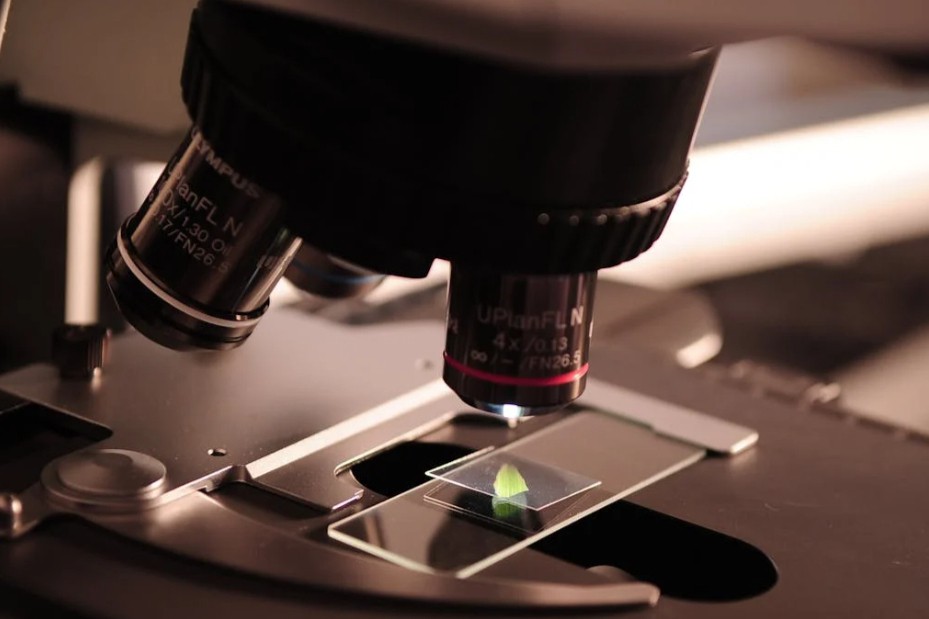 总结合抗体（TAb）与转导抑制实验/中和抗体（TI/Nab）解决方案