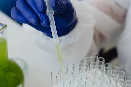 石药集团中诺药业、安徽省先锋制药 | 注射用头孢西丁钠同日过评