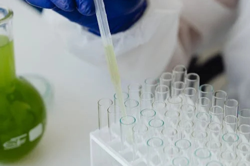 Sutro Biopharma的ROR1 ADC STRO-003与益普生达成9亿美元授权协议