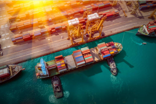 2024年丨中国各省药品进出口分析