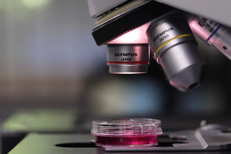 信达生物：IBI363双抗融合蛋白，黑色素瘤治疗获FDA快速通道