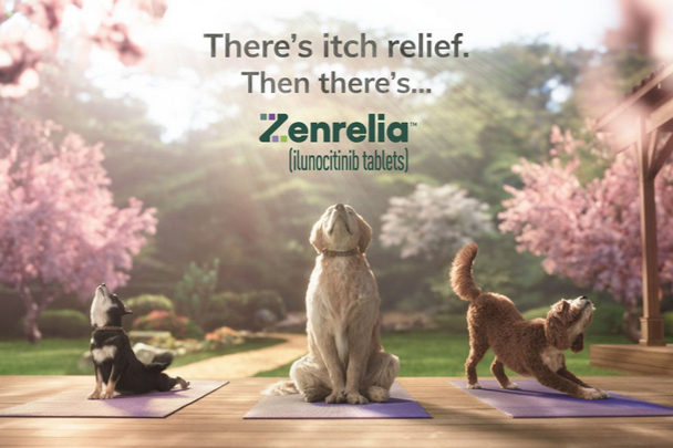 全球首款！FDA认证的犬过敏性皮炎新药Zenrelia™即将登陆美国市场"