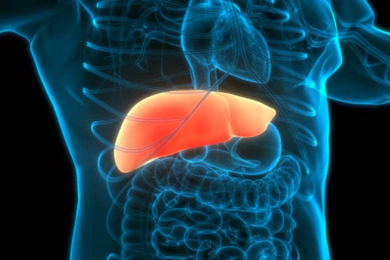 肝癌药物市场研究专题报告（附下载）