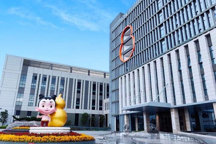 葫芦娃突遭ST警示：财报保留意见，总经理离职，2024年巨亏2629%！