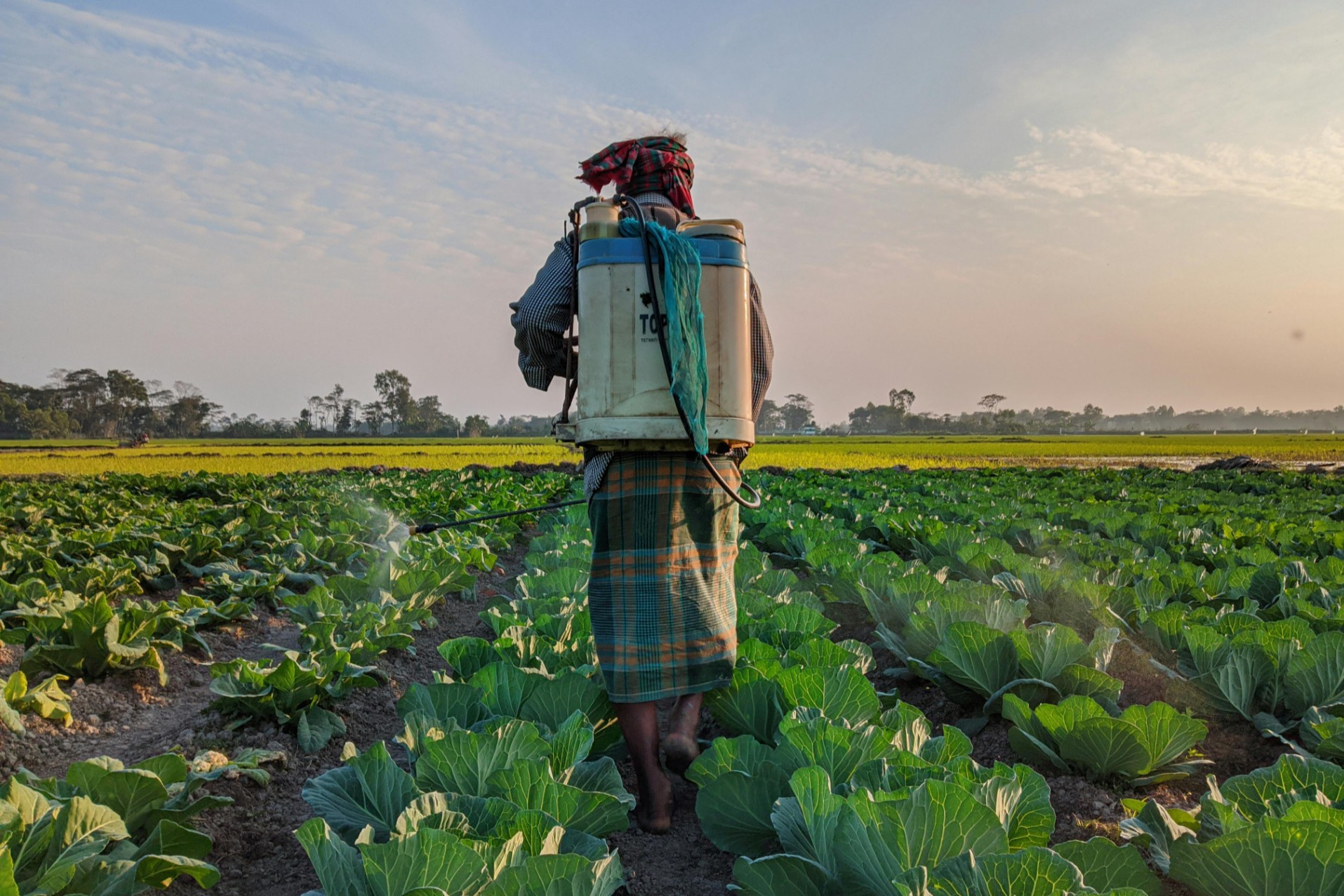 山东友道化学爆炸事故致5死，氯虫苯甲酰胺产能受冲击！