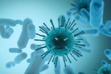 Concentra拟收购iTeos，终止GSK超20亿美元TIGIT合作项目