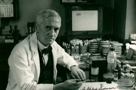 深度解析原料药（API）的早期工艺开发：从“科学发现”到“临床验证”的破局之路