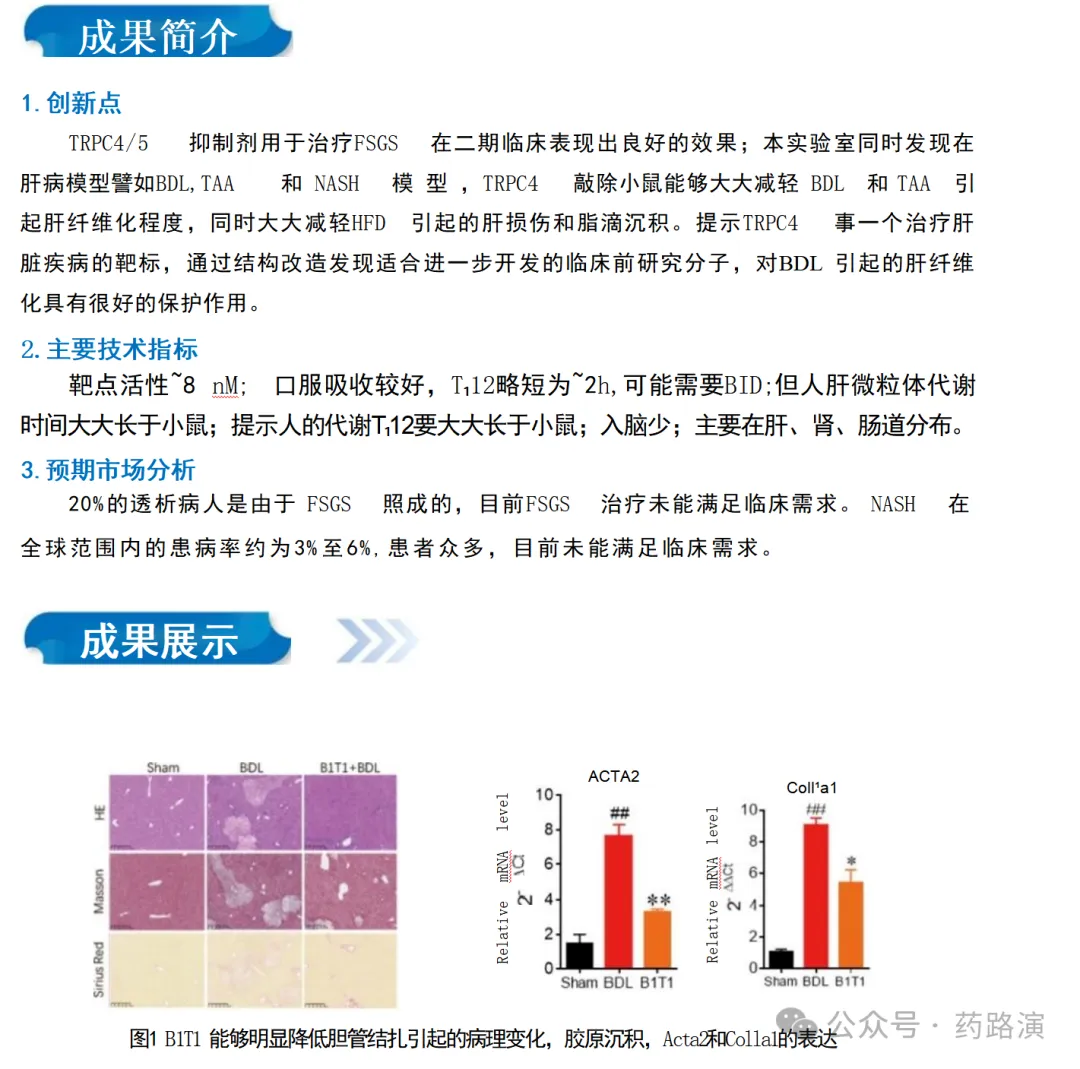 大学科技成果转化医药项目推荐二期