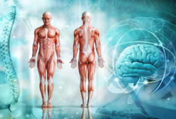 2025年欧洲肿瘤内科学会亚洲会议（ESMO-ASIA)